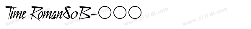 Time Roman80B字体转换